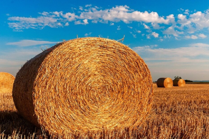 Cos’è la PAC (Politica Agricola Comune)? Scopriamolo insieme